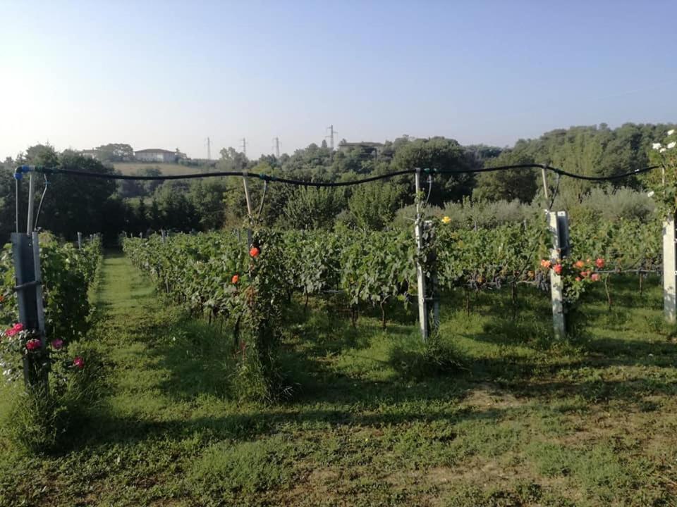 Villa Il Casale Di Lucullo Lucignano Exterior foto